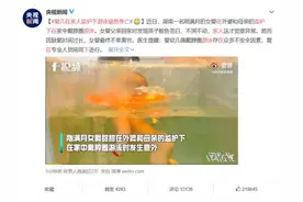 广东省市场监管局发布消费提醒：正确选购和使用游泳圈、游泳板等游泳辅助用品图片