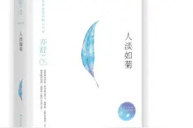 亦舒《人淡如菊》：乔为什么和纳梵先生只能是恋爱关系？图片