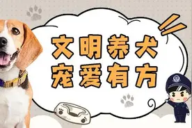 有意见的赶紧提！台州市养犬管理条例征求意见，限时一个月图片