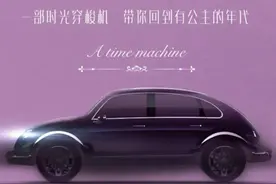 未曾官方存在过的四门甲壳虫｜四万说车图片