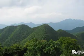 童年，蛇捕麻雀，小鸟搬家......图片