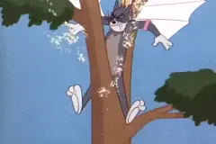 猫和老鼠动图表情包图片