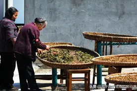 7种蔬菜夏天一晒，留到冬天吃，比新鲜的更好吃，加肉一焖特别香图片