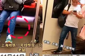 真·淡定哥！老鼠地铁上窜行，男子一脚踩住后接着玩手机？图片