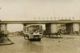 《鹏城史记》⑮：这里有个著名的圈，圈出了奇迹图片