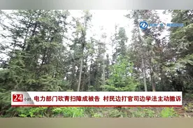 醴陵：电力部门砍青扫障成被告 村民边打官司边学法主动撤诉图片