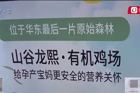 投40万、一夜能赚四千多？青岛大哥投资养鸡下蛋项目，钱花了也考察了，公司却失联了图片