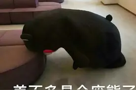 房子装着装着不想要了，盘点10大经典翻车图片