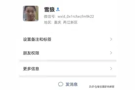 他的名字叫雪狼图片