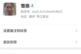 他的名字叫雪狼图片