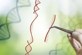 解读获诺贝尔奖的基因编辑技术，基因定制离我们有多远？图片