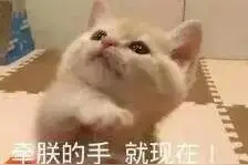 新男友丑陋还已婚？曾和周冬雨暧昧，疑和周迅领证的王菲女儿图片