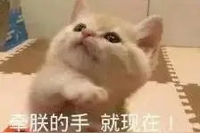 新男友丑陋还已婚？曾和周冬雨暧昧，疑和周迅领证的王菲女儿图片