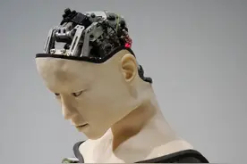 弗兰肯斯坦假说图片