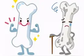 中老年人预防骨质疏松要补钙！选对方法才能提高骨量、增加骨强度图片