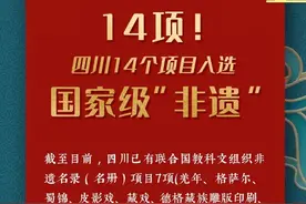 国务院公布第五批国家级非物质文化遗产代表性项目名录，四川14个项目入选！图片