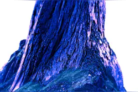 维京时代：古典时代与中世纪的过渡 「王朝背景&欧洲人种」图片