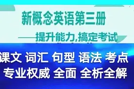 新概念英语第三册第30课语法课文词句全析全解(四)图片