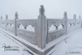 临沂今冬第一场雪！美爆了！一组摄影大片来袭....图片