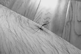 有些女性“毛茸茸”，有些女性“光秃秃”，或许与“这4点”有关图片