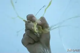 这一幕已成童年阴影，30年后再看仍然给吓得够呛图片