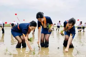 空姐空少穿制服丝袜下地插秧被质疑作秀，航空公司回应图片