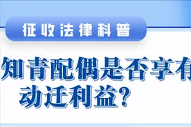 回沪知青配偶是否享有动迁利益？图片