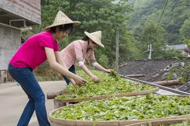 省里公示！买梅州特产，认准这份名单就对了图片