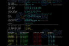 RAKsmart高配美国服务器E5-2680v4*2测评图片