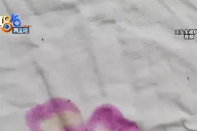 有床不睡 睡飘窗，说是对床有了阴影图片