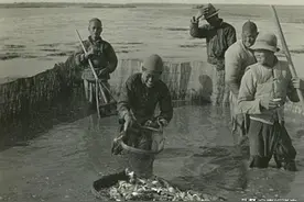 孩子摘草莓，平民来捕鱼！1939年日寇在天津杨村的摄影纪录图片