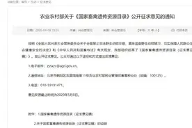 注意！全国或将禁食狗肉！图片