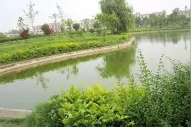 水花育苗操作不当存甚至全军覆没！这份高产攻略收好，简单明了！图片