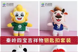 获6.4亿元市场开发收入！陕西全运会向中小企业降门槛图片
