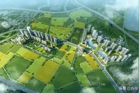 80平/人、最高补3.5层，增城两大旧村拆补方案流出…图片