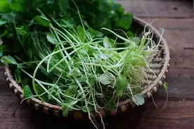 潮汕人打火锅不可缺的竟然不是牛肉，而是它图片