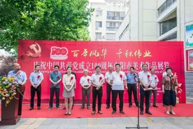 南阳市庆祝中国共产党成立100周年美术作品展在南阳美术馆开幕（附：获奖、入展名单及获奖作品）图片