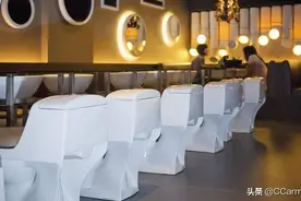 奇葩餐厅，竟有在马桶、在半空、在瀑布、在海底里吃饭？图片