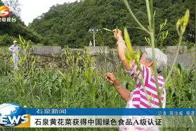 石泉黄花菜获得中国绿色食品A级认证图片