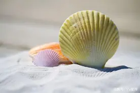 稻盛和夫的成功热情，《斗魂》图片