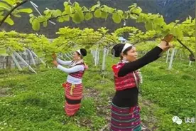 【走西藏】察隅这么美，你不想去看看图片