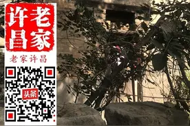许昌城西奇人：吃馍蘸墨活柩子，才压三江慕夫子图片