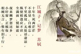 江城子•韭菜的2015图片
