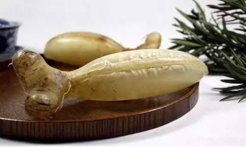 一立花胶鱼肚 2026年花胶鱼肚的功效与作用