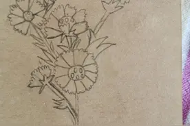 日常画一些简笔画是我的乐趣，先分享一波图片