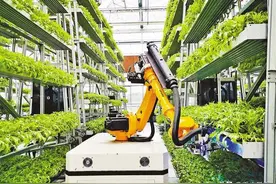 重庆成功研发智能“叶菜工厂”从播种、育苗到收割全程由机器人来做图片