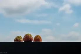 荔枝，一个被“捧上天”的娇贵水果图片