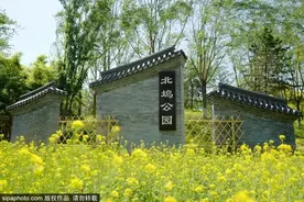 不必去婺源！北京有片绝美油菜花海，就在这个免费公园里！图片