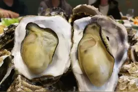 明明长得差不多？为啥一个叫生蚝，一个叫牡蛎呢？到底有何区别呢图片