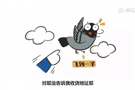 古装剧里的飞鸽传书是真的吗？鸽子怎么知道信要送去哪？图片